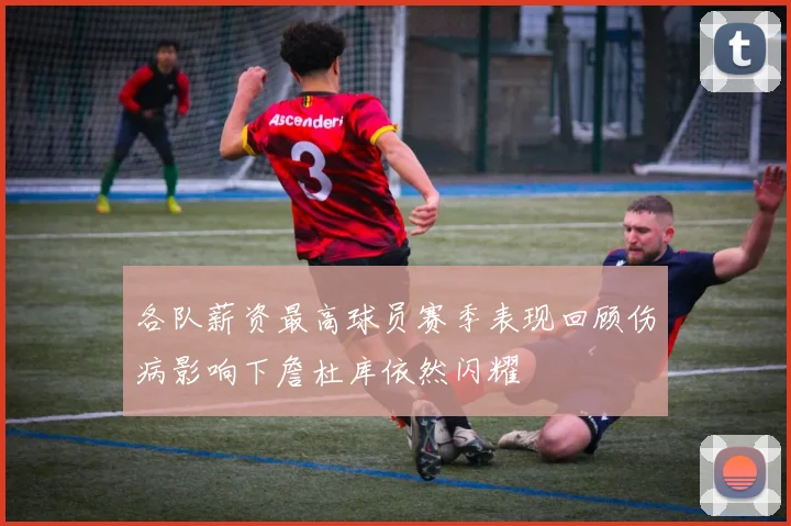 各队薪资最高球员赛季表现回顾伤病影响下詹杜库依然闪耀